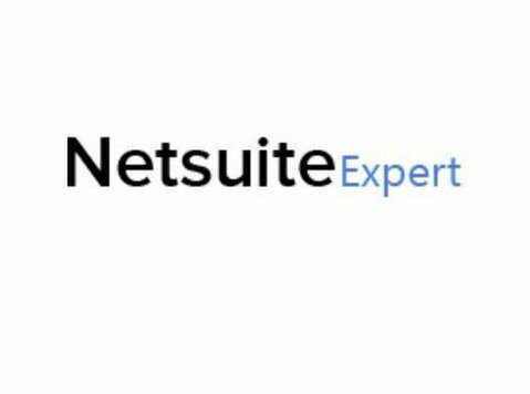Netsuite Support and Maintenance Helps Ensure Business Conti - Services: Other