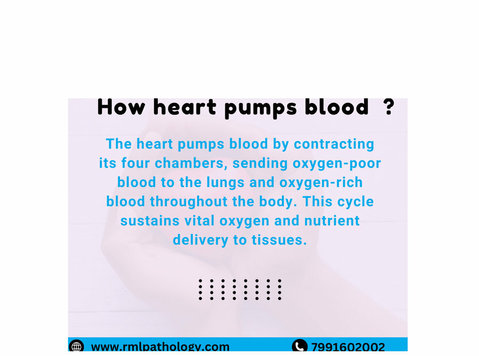 How the Heart Pumps Blood - Inne