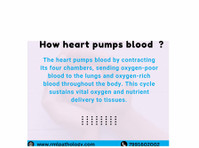 How the Heart Pumps Blood - غيرها