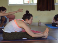 100 Hour Yoga Teacher Training in Rishikesh India - Sports/Yoga
