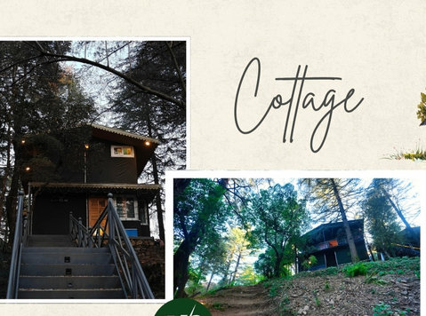 Best Cafe near George Everest | Canopy at Treetop Glamps - Drugo