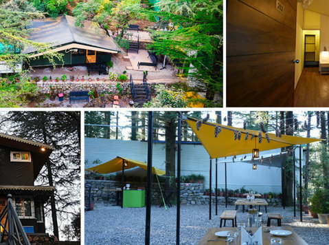 Best Cafe near George Everest | Canopy at Treetop Glamps - Drugo