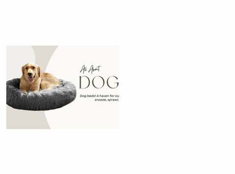 Dog Product & Accessories | Pet Products Suppliers in India - 기타