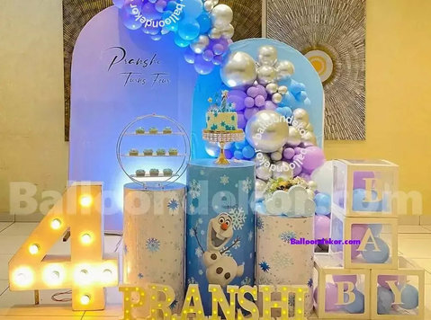 Frozen Theme Kids Birthday Setup - Costruzioni/Imbiancature