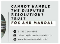 Cannot handle the disputes resolution? Trust Fox and Mandal! - 법률/재정