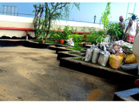 Mitra Roof Treatment Centre - Reparaţii