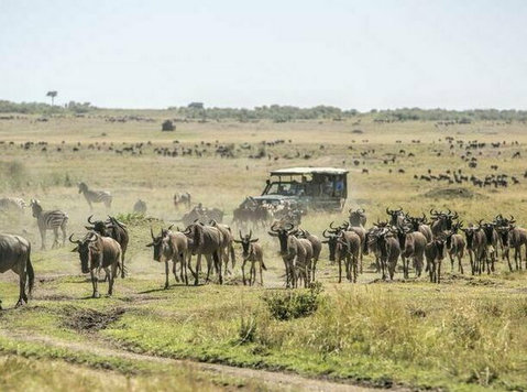 Big Five Safaris in Kenya & Tanzania, Wildlife Tours - Останато
