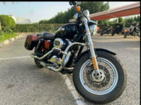 2011 Harley Davidson Sportster 1200 Xl custom Western owner - Coches/Motos