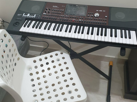 Korg pa700 oriental keyboard digital piano - 電子機器