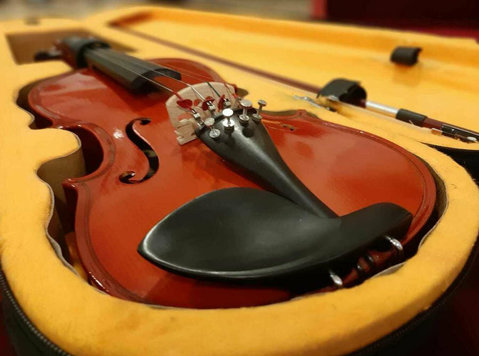 Beautiful Violin for Sale - Khác
