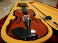 Beautiful Violin for Sale - Altro