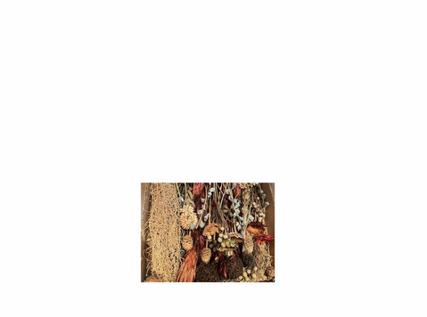 Dried flowers for sale - Buy & Sell: Other