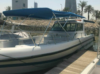 Let's Go Fishing! Rent a Boat for Fishing, Picnic & Swimming - その他