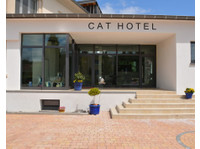 Cat Hotel, boarding cattery in Luxembourg - Lemmikit/Eläimet