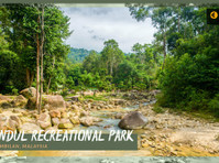 Rainforest Ecards - Sběratelství a starožitnosti