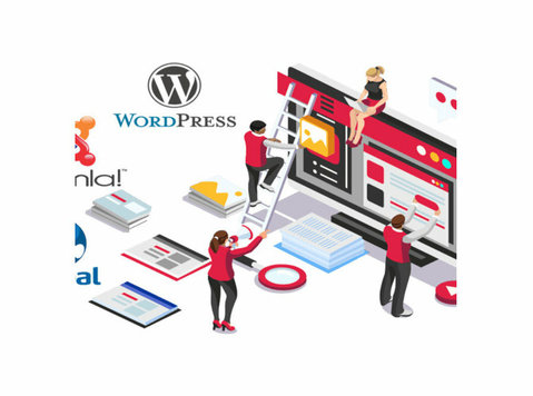 Budget Website Design Malaysia - Altele