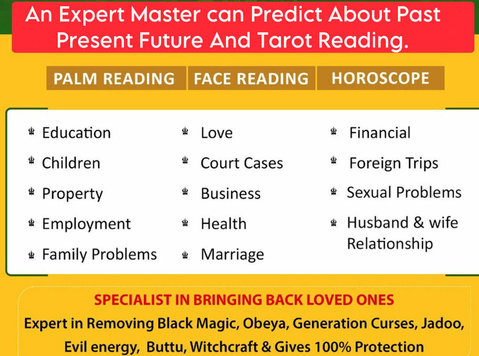 Famous Indian astrologer love reading | bring your haplife - Sonstige
