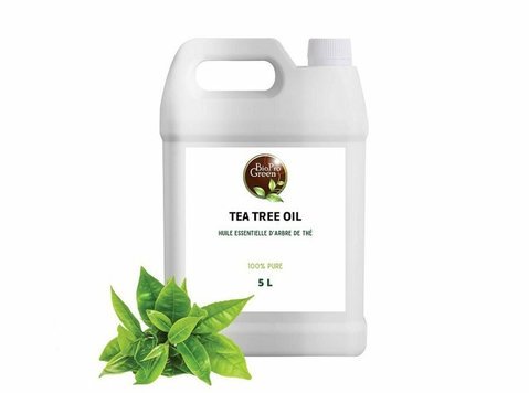 Tea Tree Oil Bulk Purchases: Benefits for Spas and salons - Muu