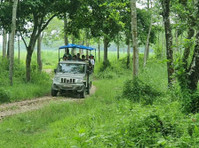 Chitwan Tour Package 2 Nights and 3 Days - Services: Other