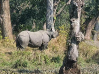Chitwan Tour Package 2 Nights and 3 Days - 其他