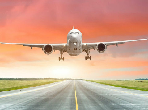 Book with a Travel Agency Near Auckland Cbd That Simplifies - Déménagement