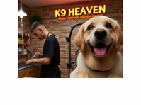 Dog Grooming Auckland - Outros
