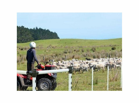 Reliable Post and Rail Fence Supplies at Fsp New Zealand - دوسری/دیگر