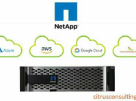 Netapp Managed Service - Citrus Consulting Group - الكمبيوتر/الإنترنت