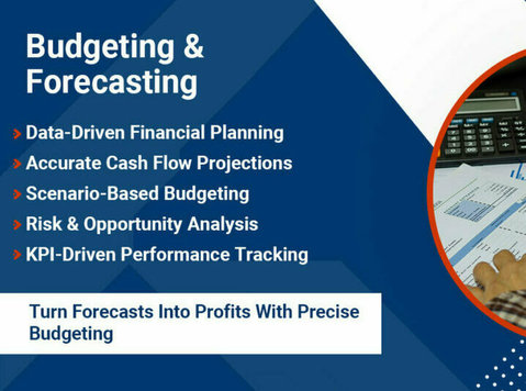 Accurate Budget and Forecasting Services - Legal/Finance