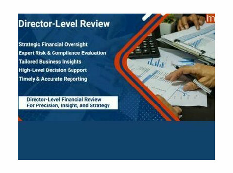 Director Level Review Services - Indian Muneem - Legal/Finance