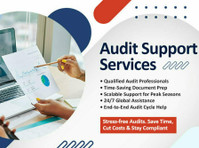 Reliable Outsourced Audit Support Services for CA & CPA Firm - Avocaţi/Servicii Financiare