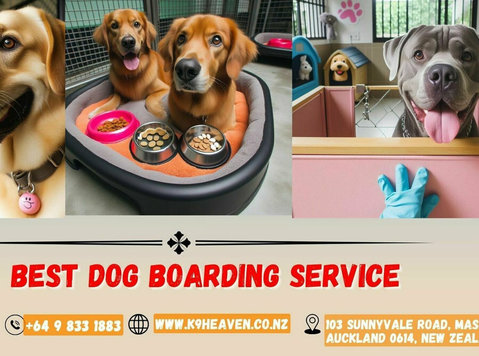 Dog Boarding Service - மற்றவை