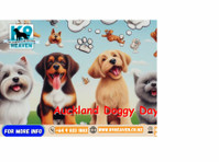 Doggy Daycare Service - Altro