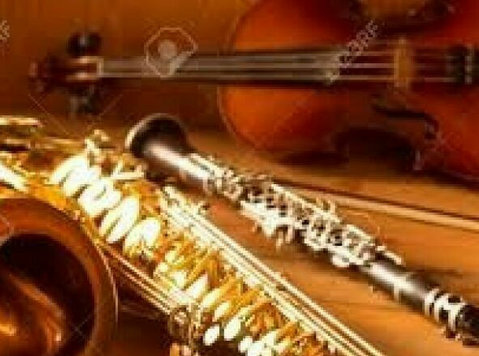 Violinistas Y Saxofonistas, Para Todo Tipo De Eventos!! - Другое