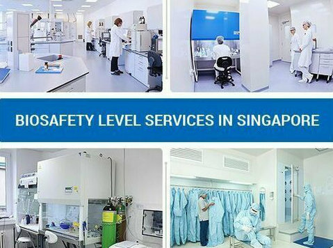 Biosafety Level Services Singapore - غيرها