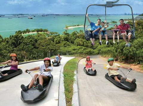 Luge and Skyline Sky ride cheap ticket discount promotion Ad - غيرها