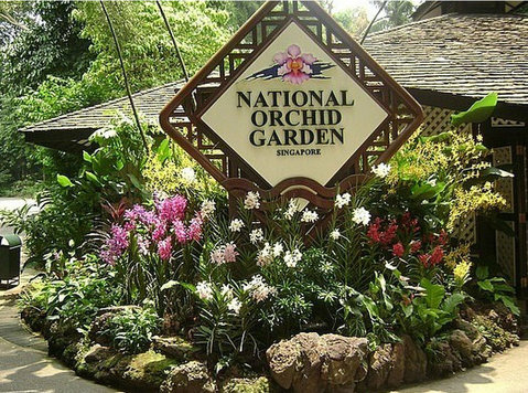 Orchid Garden cheap ticket discount promotion National Orchi - Buy & Sell: Other