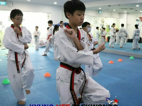 Taekwondo fosters student discipline and control - 体育/瑜伽