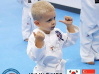 Integrating Taekwondo boosts fitness, defense, and character - 体育/瑜伽