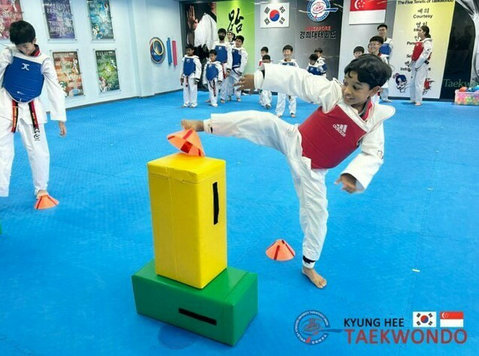 TKD blends tradition and modernity 4student health - Sport/Jooga