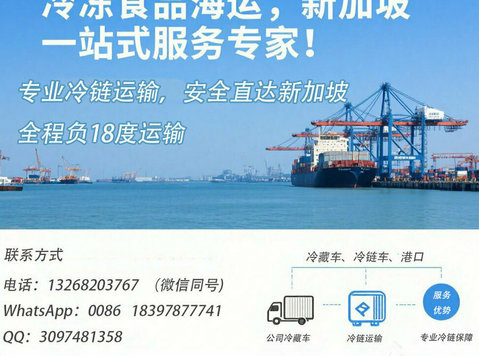 一站式新加坡冷冻食品海运攻略 轻松开启海外之旅！——递接物流 - Déménagement