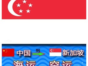 China to Singapore air and sea shipping door to door - הובלה