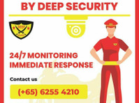 Deep Security Services pte ltd - Άλλο