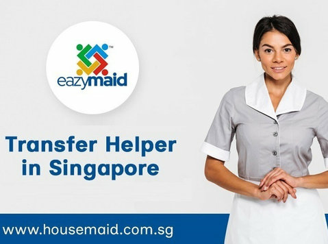 Find the Best Transfer Helper for Your Needs - Diğer