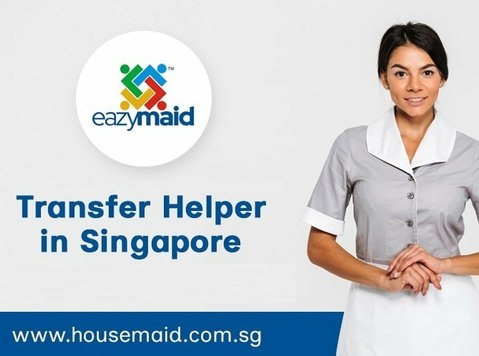Hire a Reliable Transfer Helper in Singapore Today - Services: Other