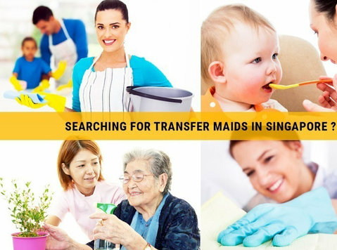 Looking For A Transfer helper in Singapore - Sonstige