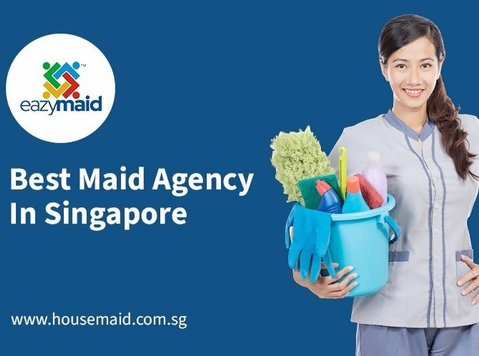 Top Singapore Maid Agency with Experienced Domestic Helpers - Services: Other