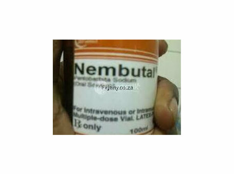 Buy Nembutal Online Call Or Whatsapp Dr Ann +27810364284. - Citi