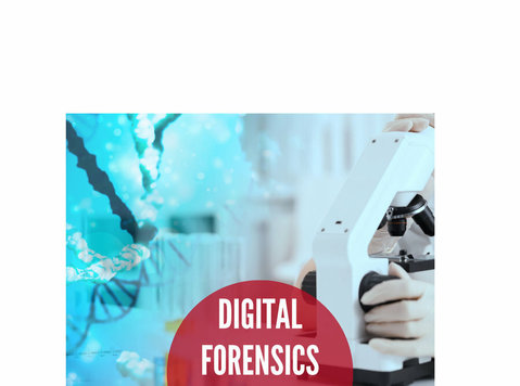 Digital fraud investigations? - Services: Other