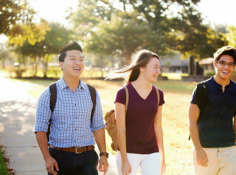 Eluniversity's Foreign Language Courses! - Services: Other